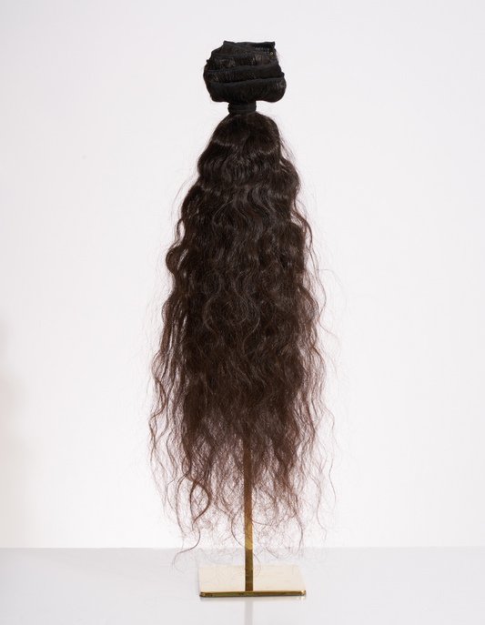 Raw Indian Curly Clip-Ins